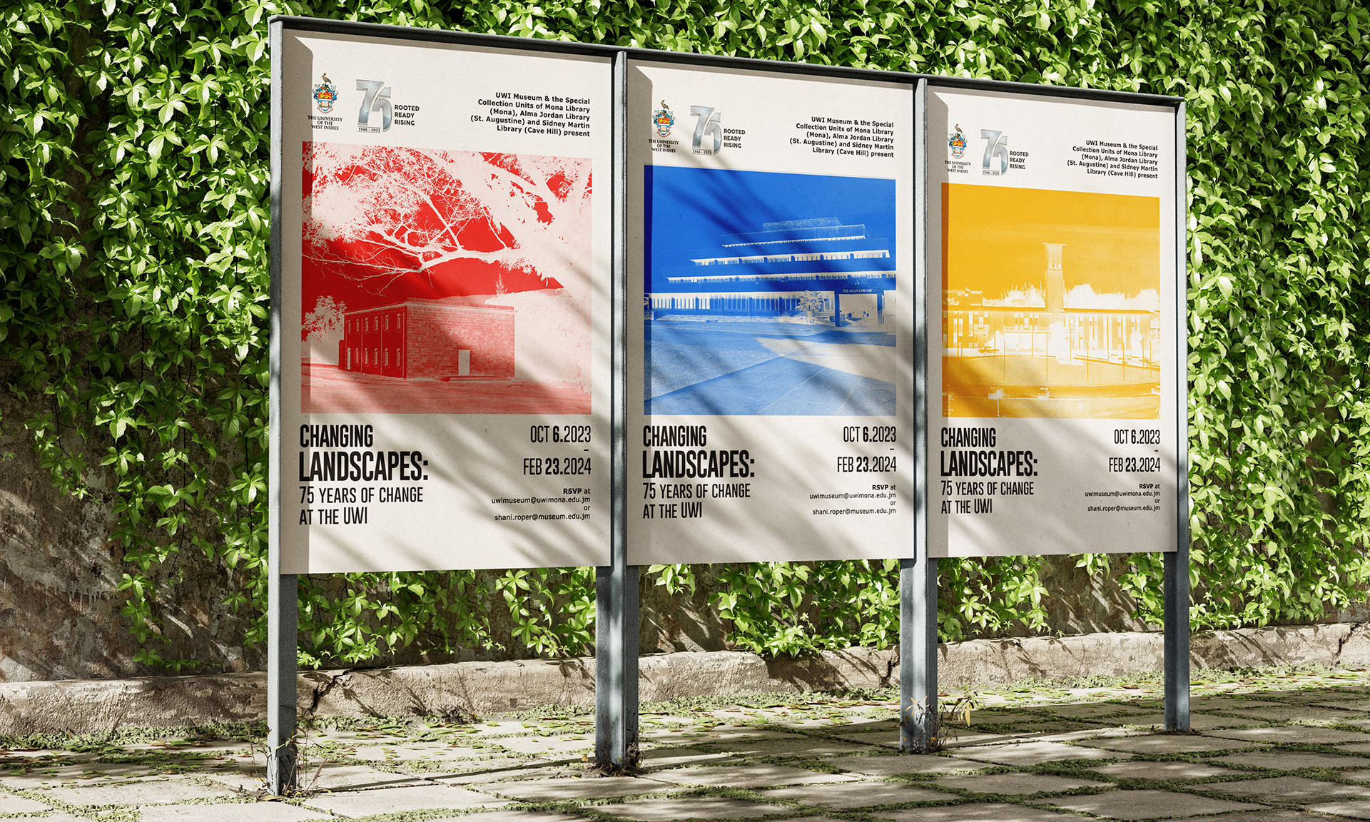 Vividry design project, image nine
